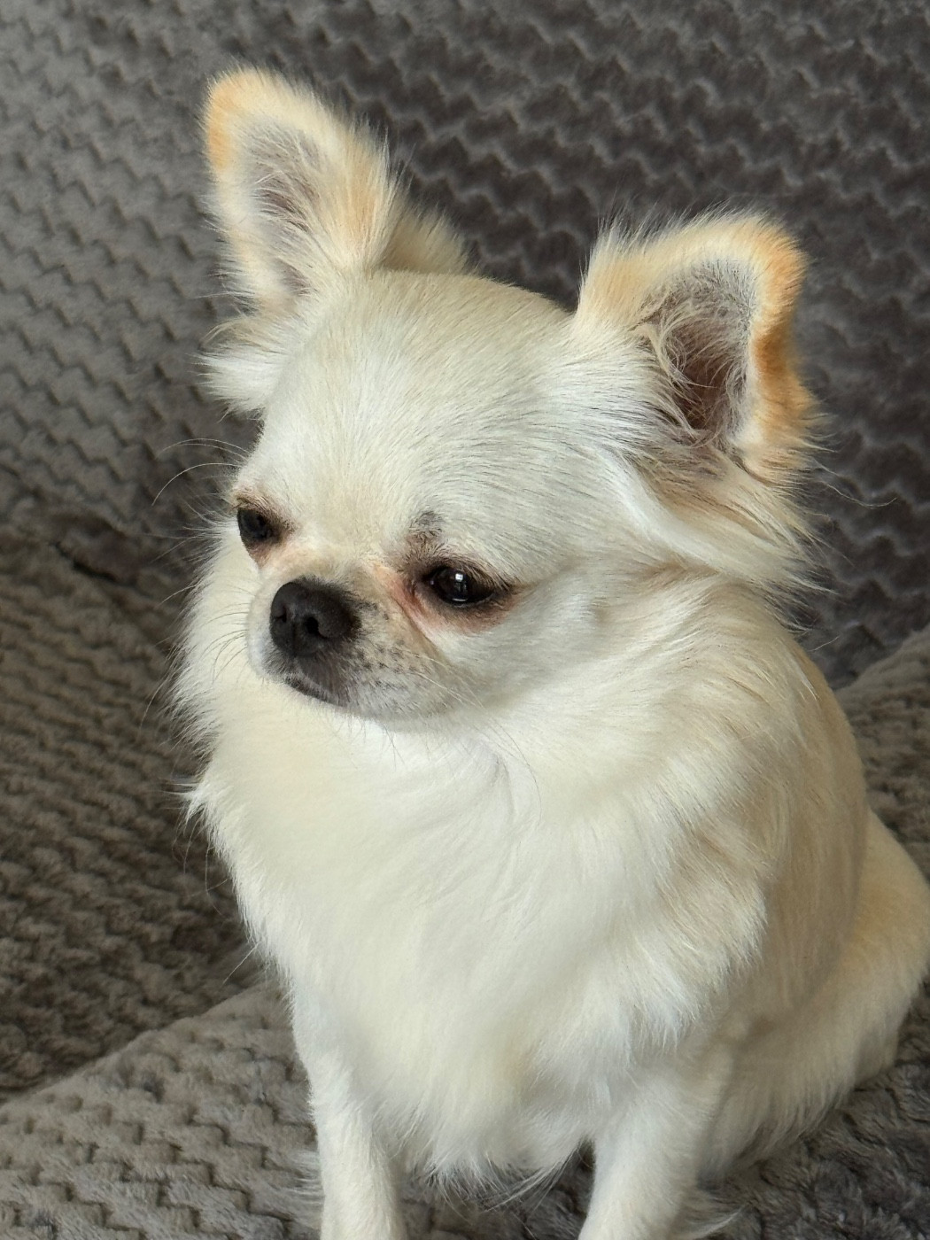 Tsunami des légendes d'Athena