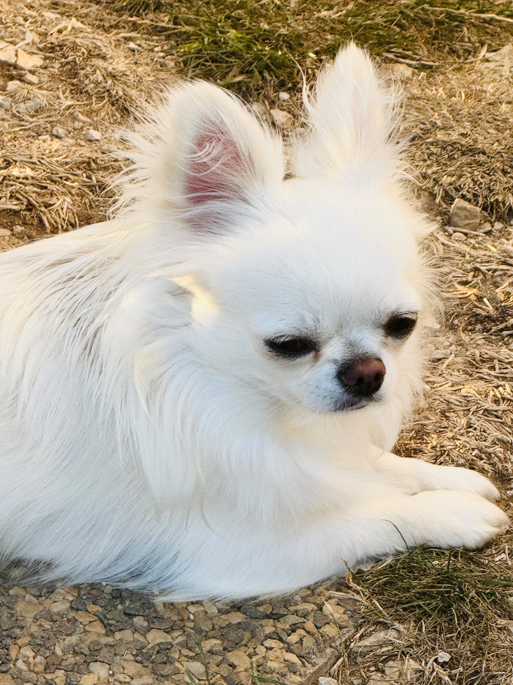 Unik Des graines de stars