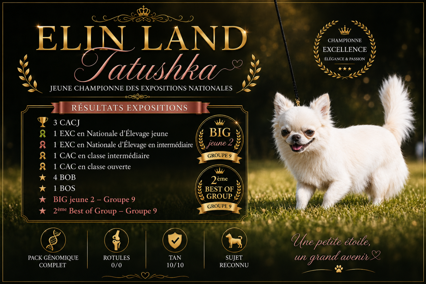 CH. elin land Tatushka