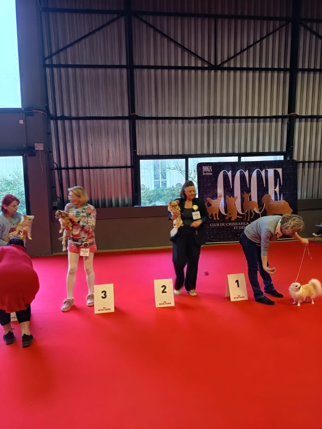 Spéciale de Race Nantes 2025