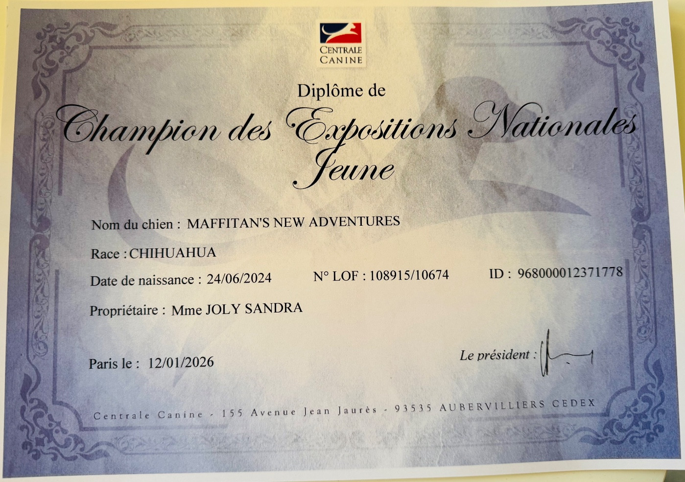 MAFFITAN S NEW ADVENTURES JCH