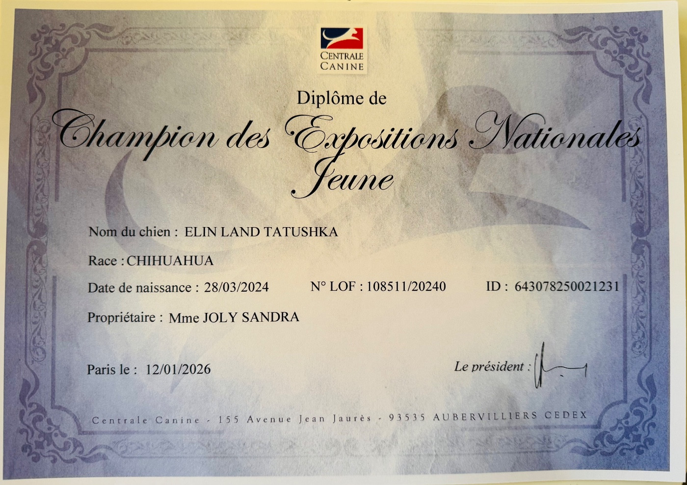 ELIN LAND TATUSHKA JCH