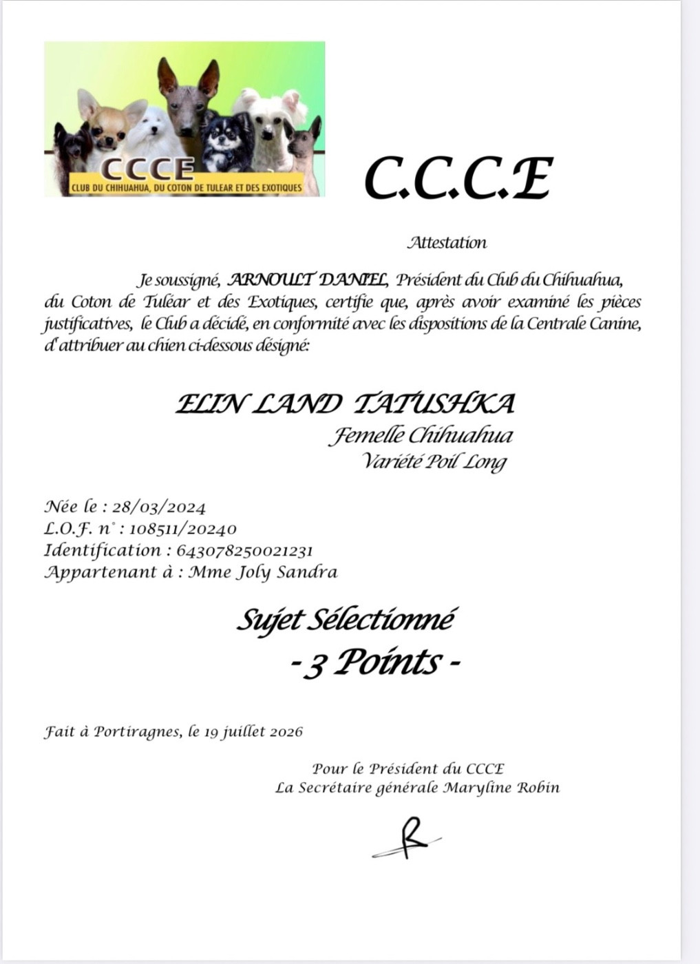 Des Trésors De Cancun - ELIN LAND Tatushka devient sujet sélectionné côté 3 points